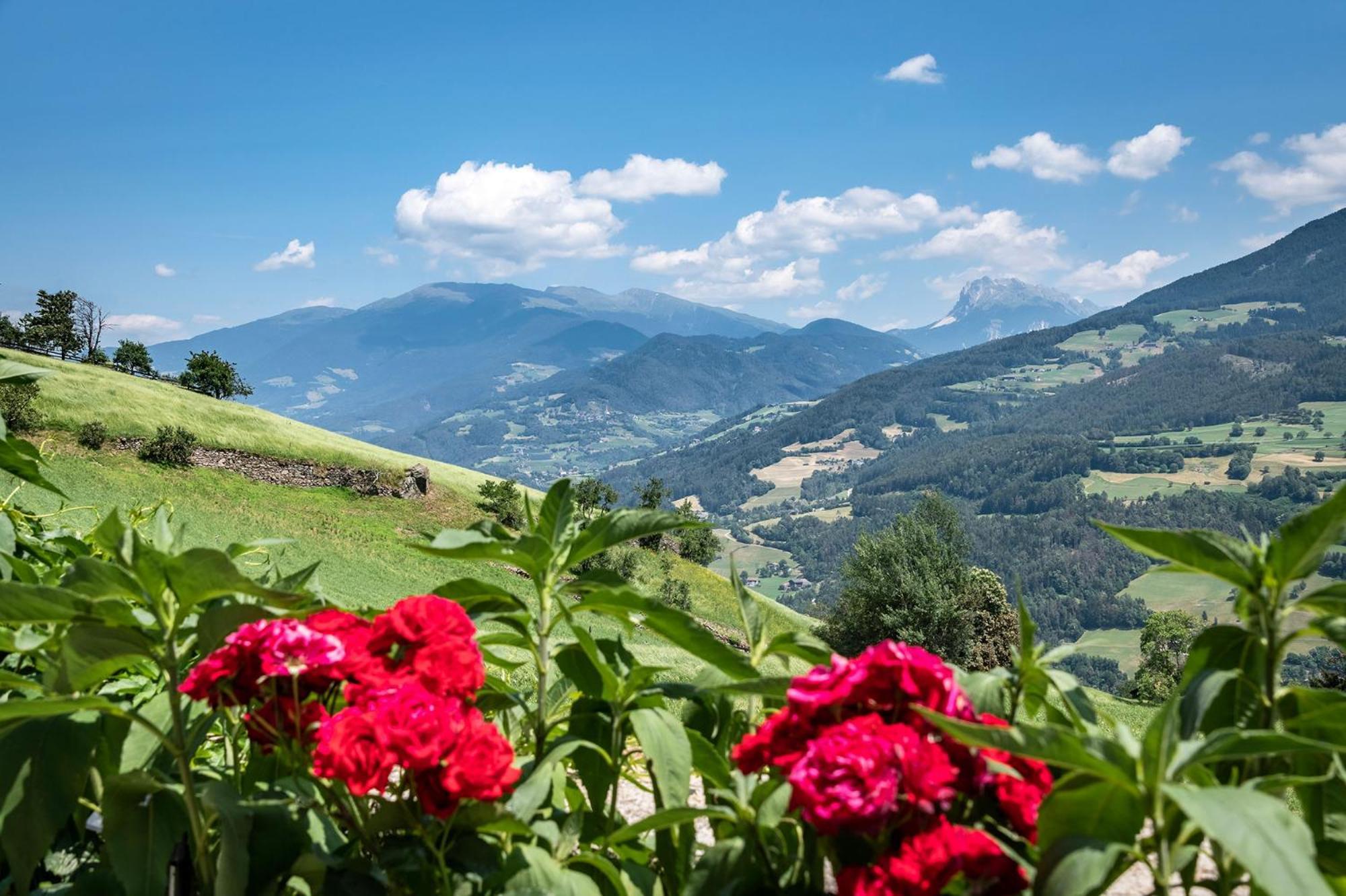 Hauserhof Chalet In Villanders - Moderne Wohnungen Mit 2 Badezimmer Und 2 Schlafzimmer Eksteriør bilde